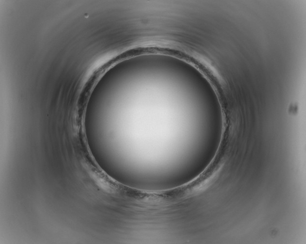 X0000092290974200709141256