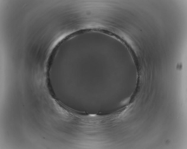 X0000092290975200709141256