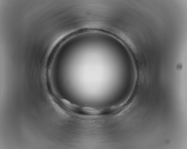 X0000092290976200709141256