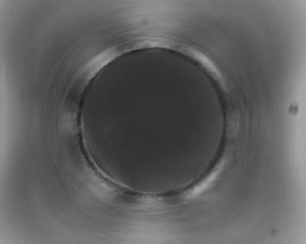 X0000092290977200709141256