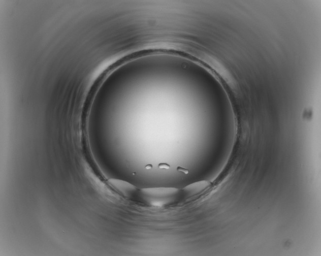 X0000092290980200709141256