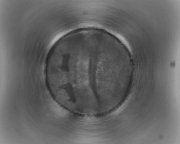 X0000092290983200709141256