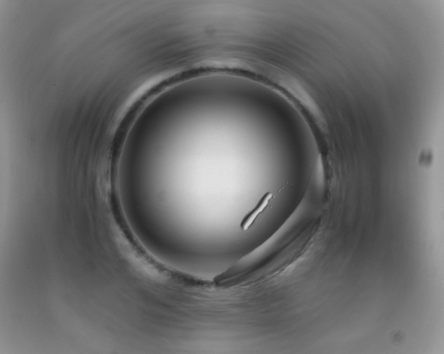 X0000092290984200709141256