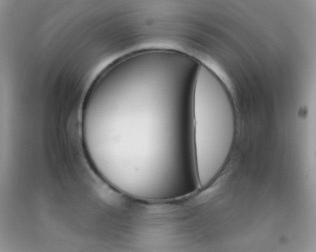 X0000092290988200709141256