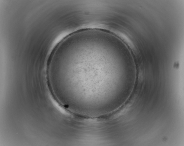 X0000092290990200709141256