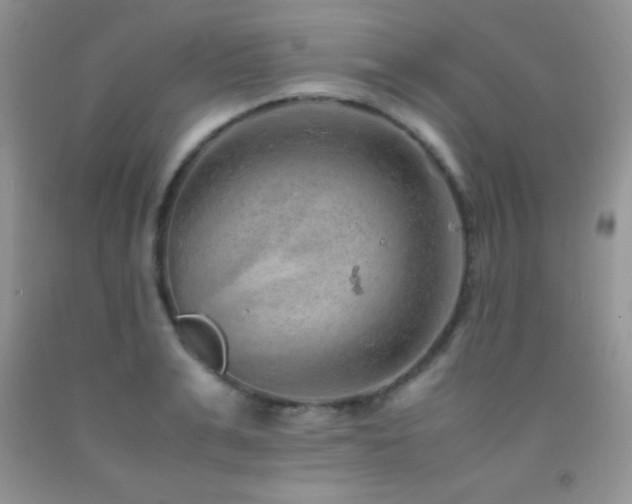 X0000092290991200709141256