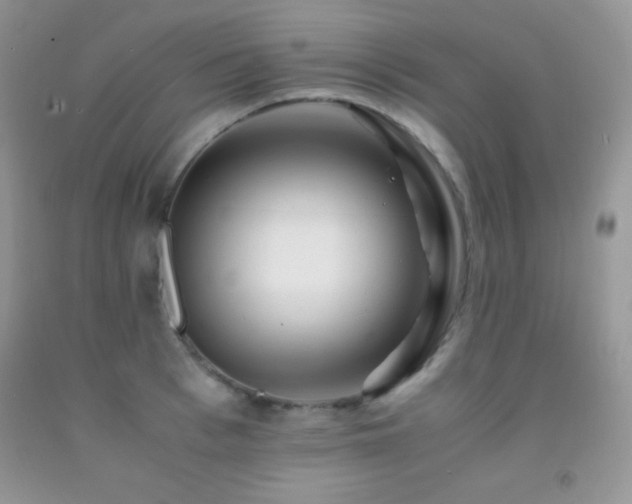 X0000092290993200709141256