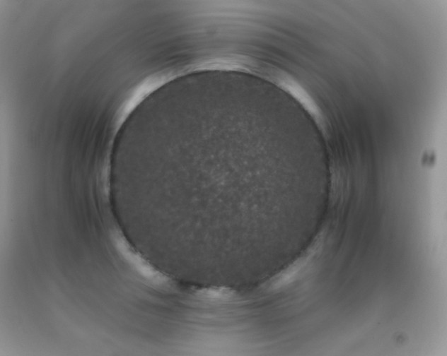 X0000092290994200709141256