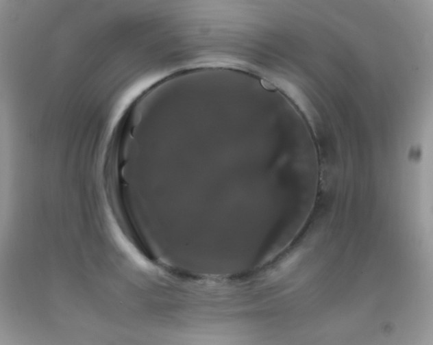 X0000092290995200709141256