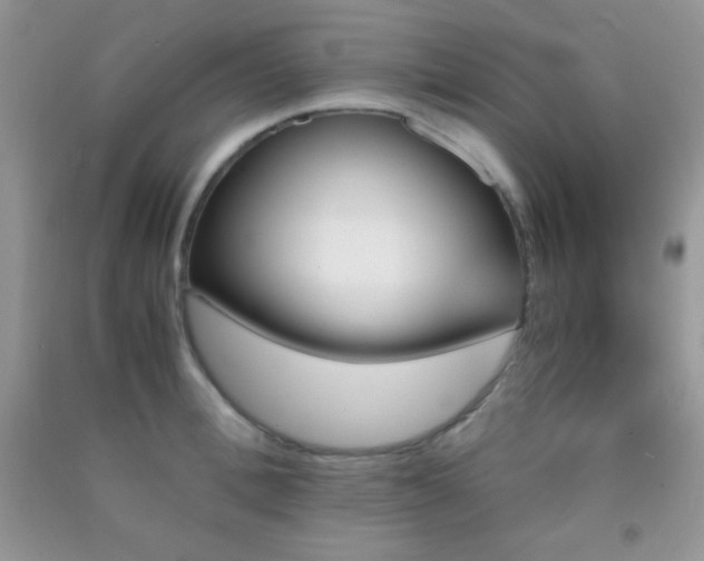 X0000092290996200709141256