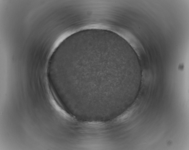 X0000092290998200709141256