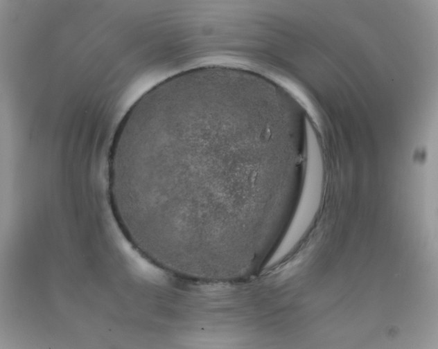 X0000092290999200709141256