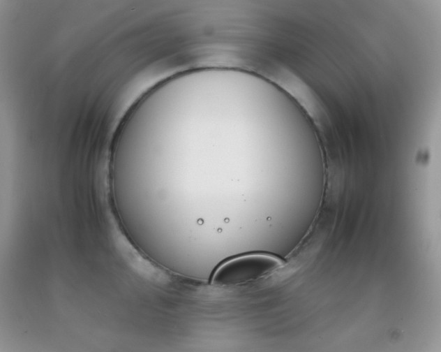 X0000092291000200709141256