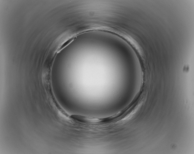 X0000092291001200709141256