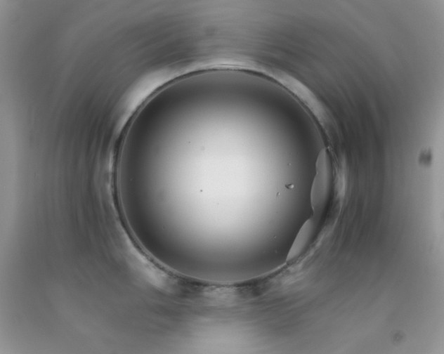 X0000092291006200709141256