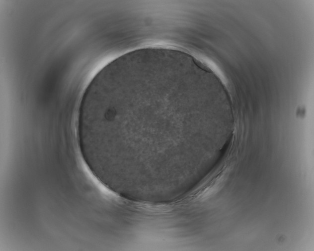 X0000092291007200709141256