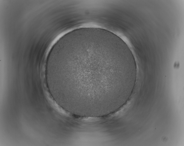 X0000092291008200709141256