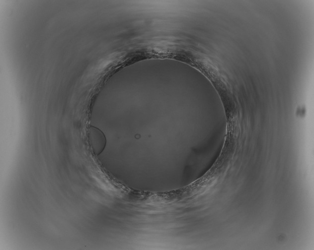 X0000092291009200709141255