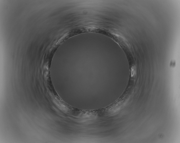 X0000092291011200709141255