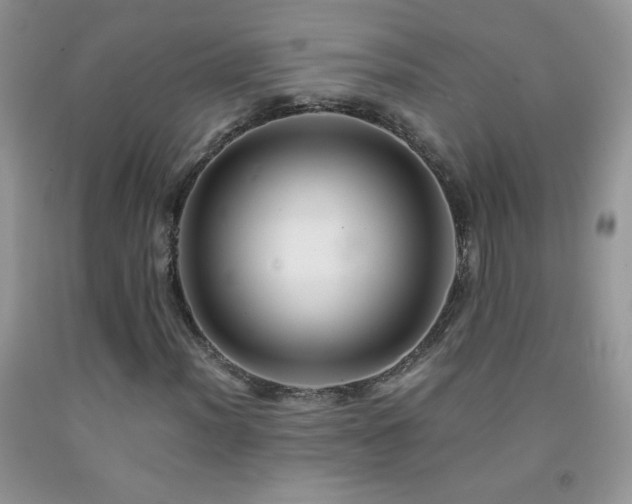 X0000092291012200709141255