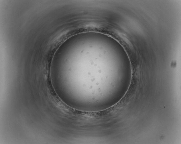 X0000092291015200709141255