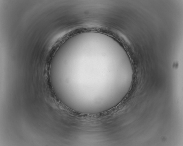 X0000092291016200709141255
