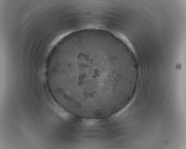 X0000092291019200709141255