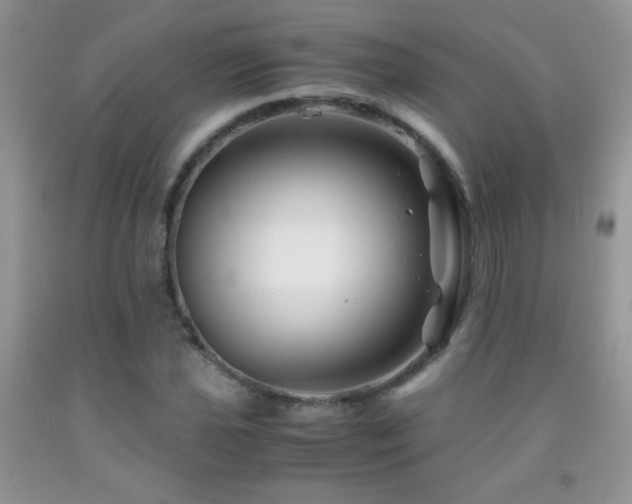 X0000092291021200709141255