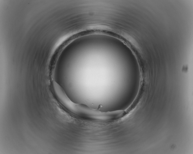 X0000092291022200709141255