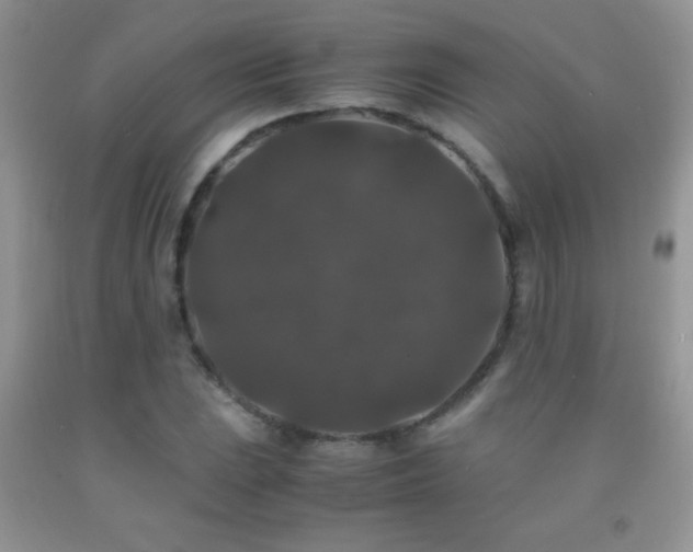 X0000092291023200709141255