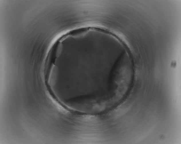 X0000092291024200709141255
