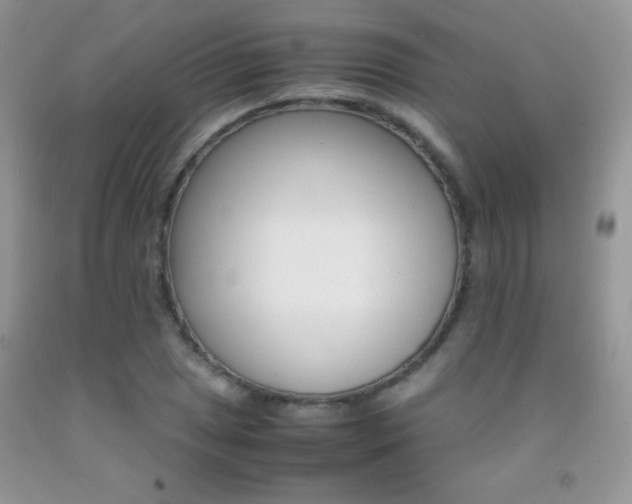 X0000092291025200709141255