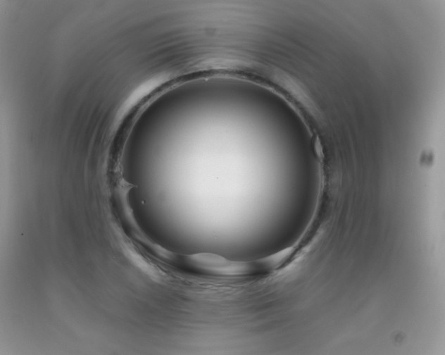 X0000092291026200709141255
