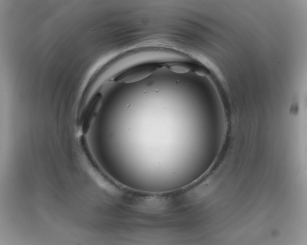 X0000092291029200709141255