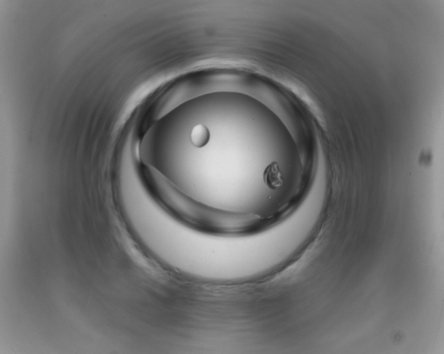 X0000092291030200709141255