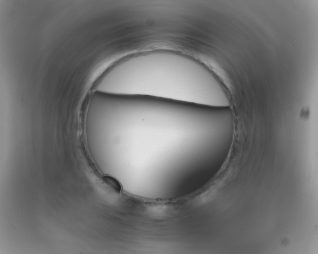 X0000092291031200709141255