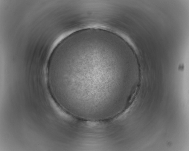 X0000092291032200709141255