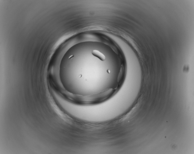 X0000092291034200709141255