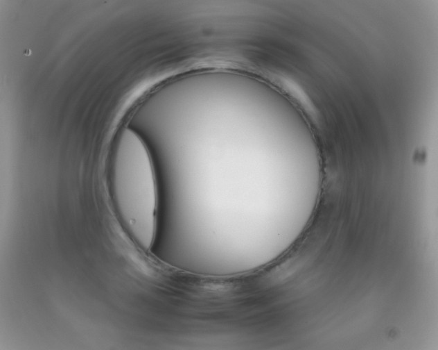 X0000092291035200709141255