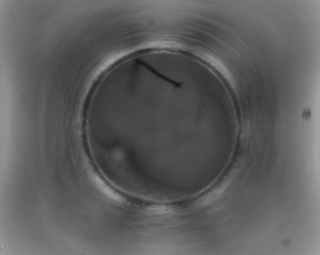 X0000092291037200709141255