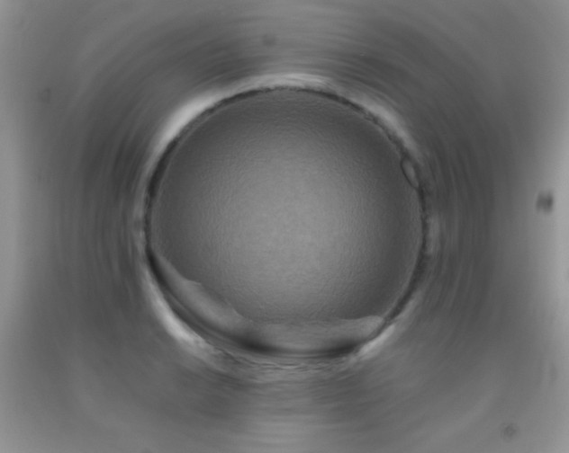 X0000092291038200709141255