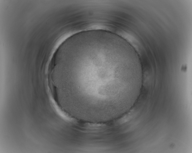 X0000092291039200709141255