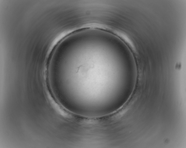 X0000092291040200709141255