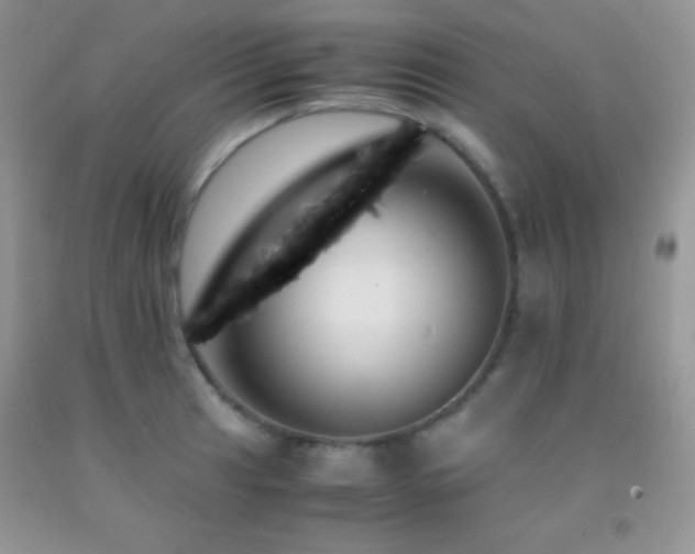 X0000092291041200709141255