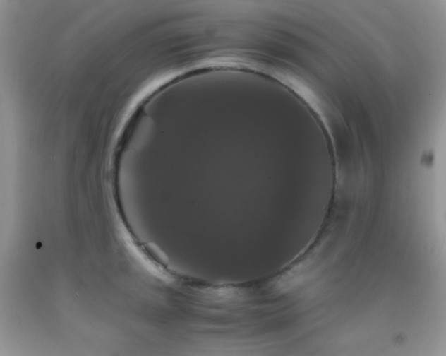 X0000092291045200709141255