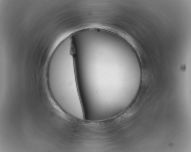 X0000092291048200709141255