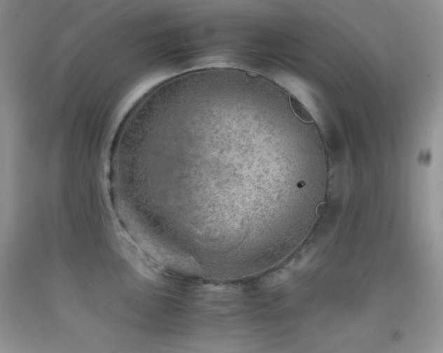 X0000092291051200709141255