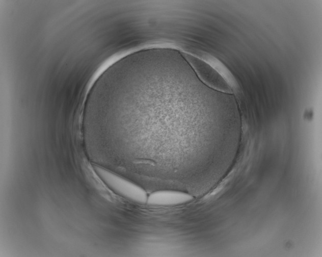 X0000092291052200709141255