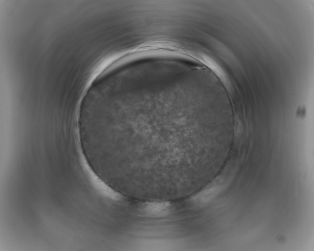 X0000092291055200709141256