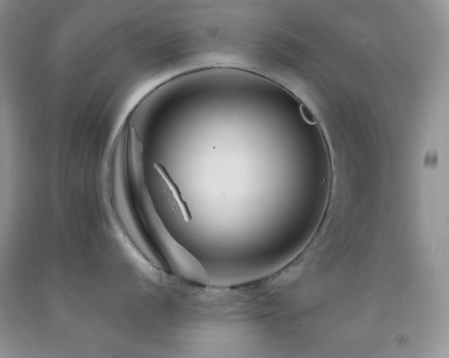 X0000092291056200709141256